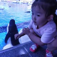 阿耀563头像