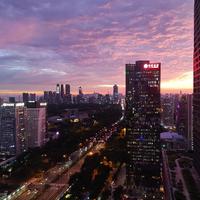 tony哥爱自由头像