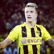 dalianmengzi的个人资料头像