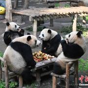 Rowin的个人资料头像