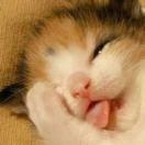 头发是我的生命的个人资料头像