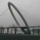 realc的个人资料头像