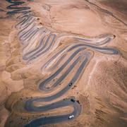 养乐多265的个人资料头像