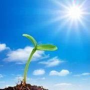 海燕575的个人资料头像