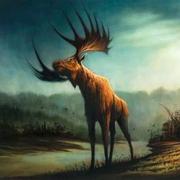 BlurNull的个人资料头像