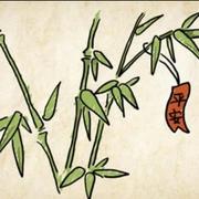 DavidZhang65的个人资料头像