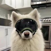 Weko的个人资料头像