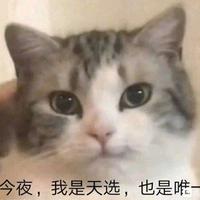 interesting249头像
