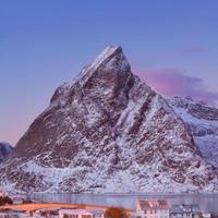 不是按时发生头像