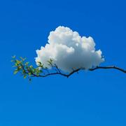 奇山流云_的个人资料头像