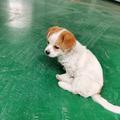 福特加二锅头头像