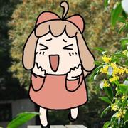 贝极星今天打卡了吗的个人资料头像