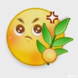 一棵花菜鸭头像