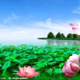 静坐常思己过1n8w头像