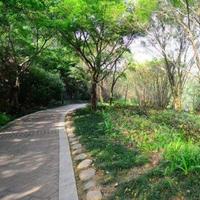 灿烂海浪ypO头像