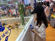 咚哩个咚咚咚的个人资料头像