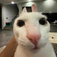 等会我车机卡死了头像