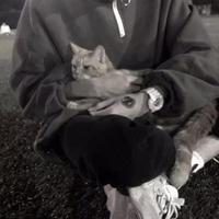 小驴给我买新车头像