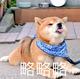 同学泥嚎头像