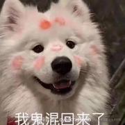 _peanut的个人资料头像