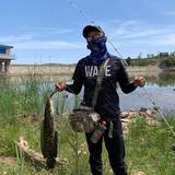 小飞5H0C头像