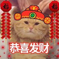 猫书阁头像