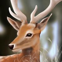 鹿城创行者头像