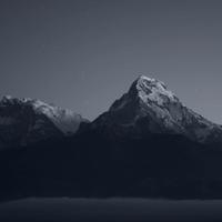 用户2782149355801头像