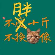 用户8706360772922的个人资料头像