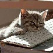 Aether_活跃在四号线的个人资料头像