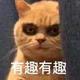 〆时倾ゞ头像
