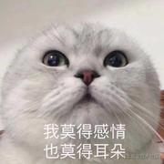 cuchuan的个人资料头像