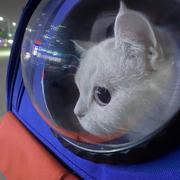 Trident315的个人资料头像