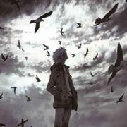 落贝459的个人资料头像