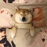 山高人为峰783头像