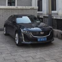 风清云静362头像