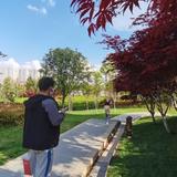 昭通在线头像