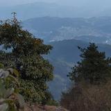 飞凤山庄头像