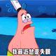 石页的快乐小生活头像