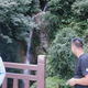 最美的…期待头像