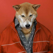 柴大官人_的个人资料头像