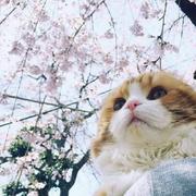 赫敏的关关的个人资料头像