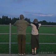 夏日小白的个人资料头像