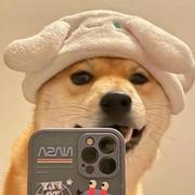 Happy520的个人资料头像