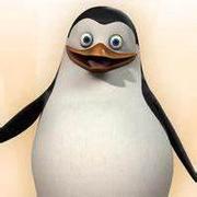 PenGuin_C的个人资料头像