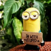 fictio的个人资料头像