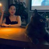 娇娇85706002头像