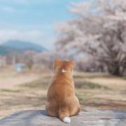 没有终点的旅程的个人资料头像