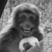 用户3760757872517的个人资料头像