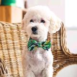 无忧的圆月A6L头像